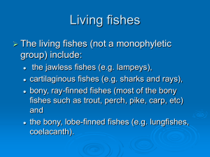 Living fishes - Plattsburgh State Faculty and Research Web Sites