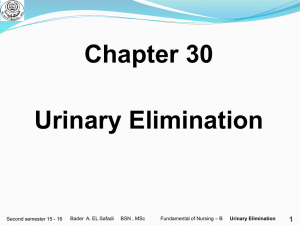 Urinary elimination
