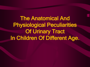 Lect.07 - Genitourinary Alterations in Children