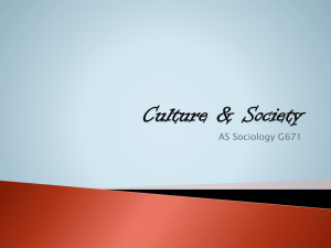 'Culture'? - NC Sociology