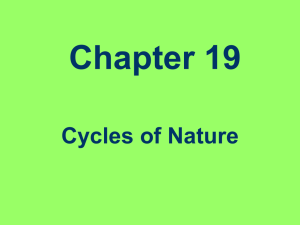 Chapter 19 Cycles of Nature The Cycles of Matter
