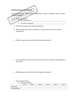 Pearson Virtual Lab Manual Answers