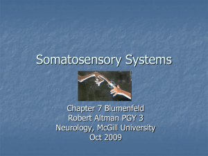AHD Somatosensory R. Altman Oct 21, 09
