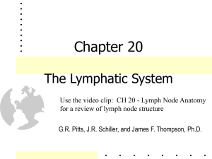Chapter 20 The Lymphatic System, Nonspecific Resistance to