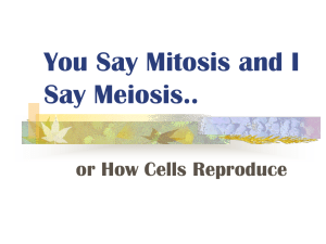 IB-mitosis-meiosis-2016