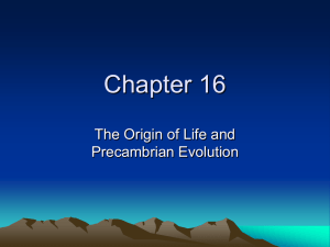 The Origins of Life