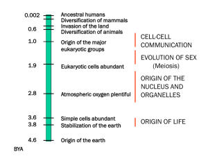 Lecture 11 Origin of Complex Life Forms