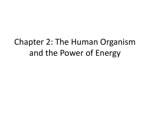 forms of energy