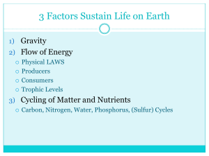 Cycles of Matter ppt