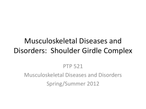 Shoulders - radiographs and fractures student 2012