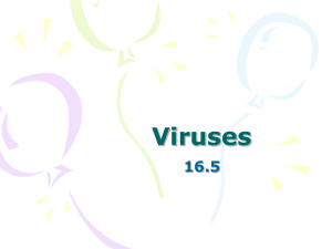 Ch. 16.5 Viruses
