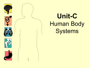 ORGANS AND SYSTEMS ORGAN SYSTEM