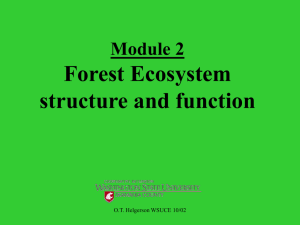 Forest ecology effects - Department of Natural Resource Sciences