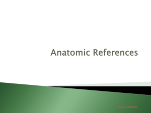 Anatomic References