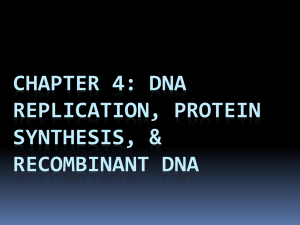 Section 2.1 & 2.2: DNA & Protein synthesis