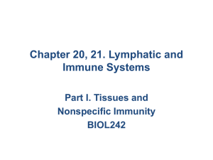 Chapter 20, 21. Lymphatic and Immune Systems