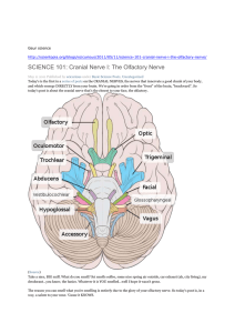 SCIENCE 101: Cranial Nerve I