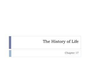 The History of Life