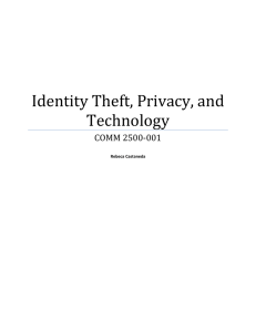 Identity Theft, Privacy, and Technology