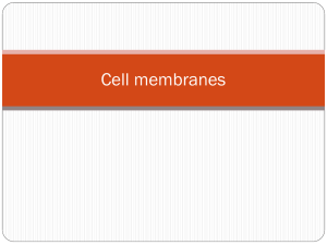 Cell membranes
