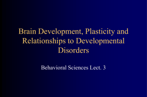 Brain devel & Plasticity 02 - University of Illinois Archives