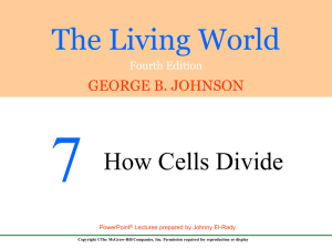 The Living World - Chapter 7 - McGraw Hill Higher Education