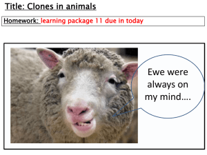 Cloning animals