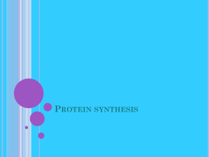 Protein synthesis (3)
