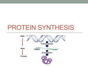 Details Related to Protein Synthesis