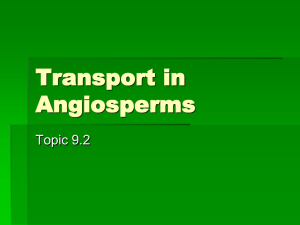 Transport in Angiosperms 9.2