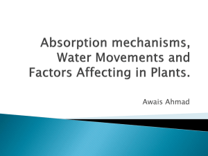 Absorption mechanisms, Water Movements and Factors