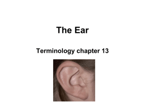 The Ear - TeacherWeb
