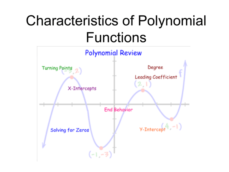 Characteristics Of Polynomial Functions