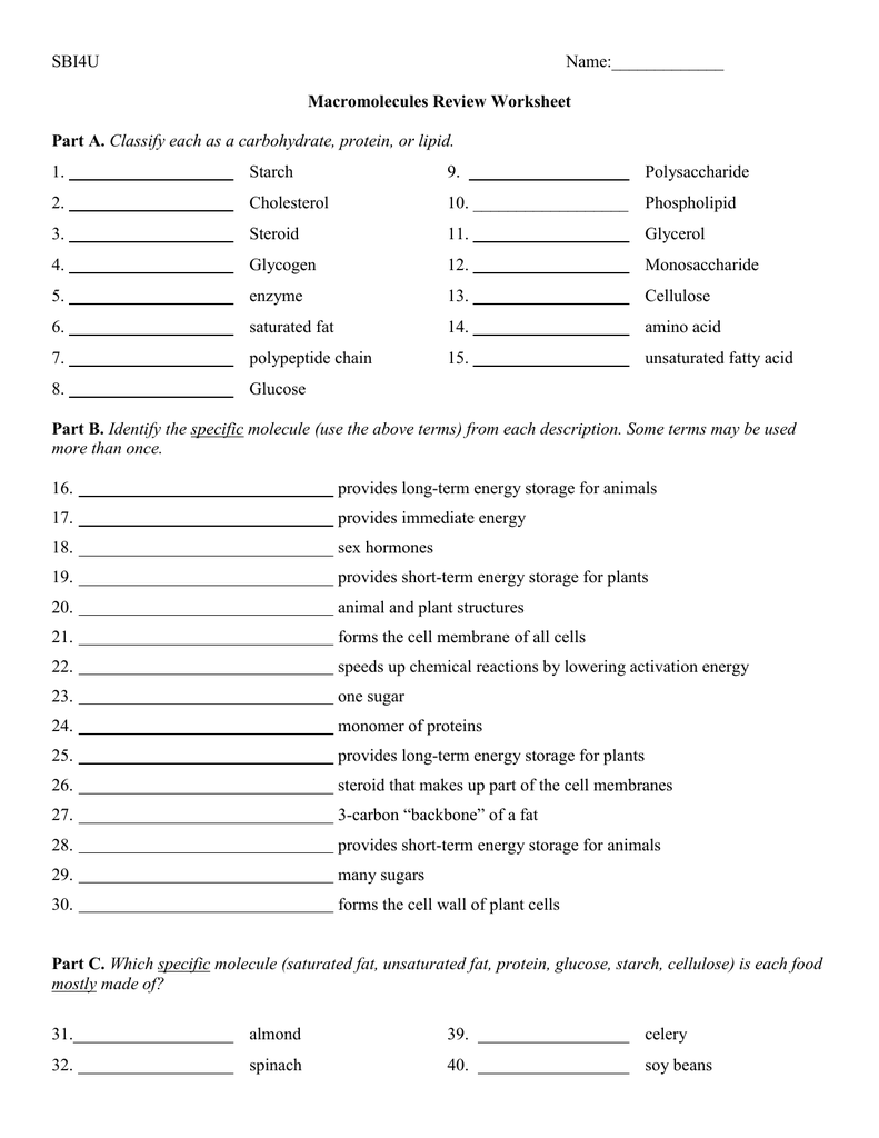 Macromolecules Worksheet #11 Regarding Macromolecules Worksheet 2 Answers