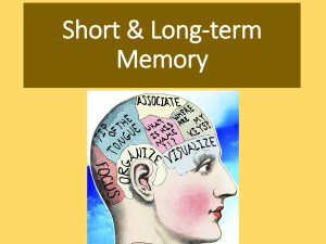 Long-Term Memory - Mr. Hunsaker's Classes