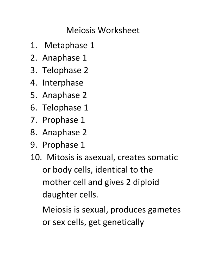 meiosis-worksheet-answers-biology-tutore-org-master-of-documents