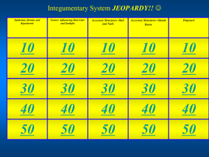 Jeopardy review