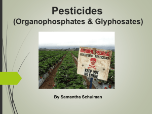 BIO545 Pesticide Slides