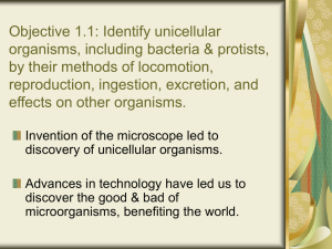 Objective 4: Describe organisms in the six