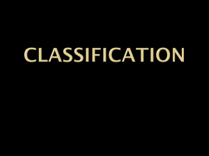 CLASSIFICATION