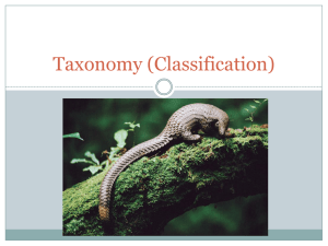 Taxonomy (Classification)