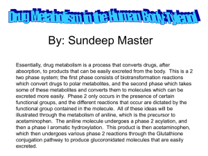 By: Sundeep Master - Drug Metabolism in the Human Body: Tylenol