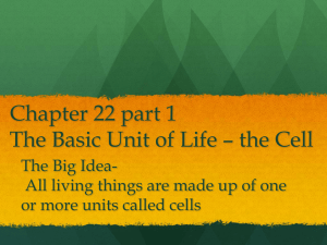 Chapter 22 The Basic Unit of Life * the Cell