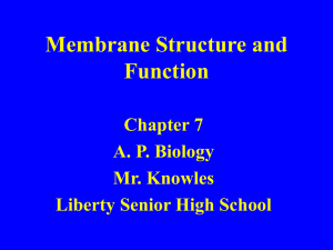 Chapter 7 Membrane Structure and Function