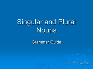 Singular And Plural Nouns