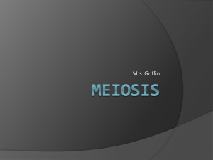 and Meiosis 2