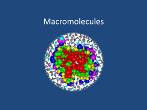 Macromolecules - kehsscience.org