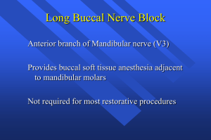 Long Buccal Nerve Block