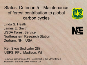 Criterion 5: Global Carbon Cycles - Sustainable Forests Roundtable