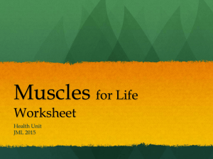 Muscles for Life Circuit Worksheet